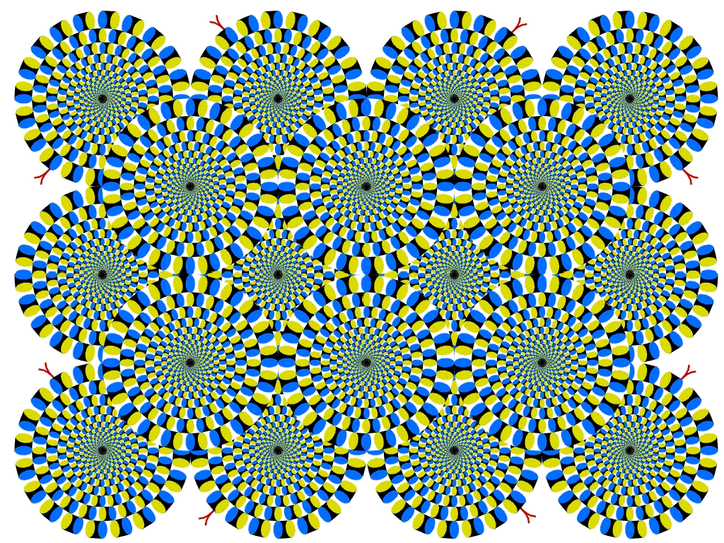 optical-illusion-wheels-circles-rotating.png (269933 bytes)